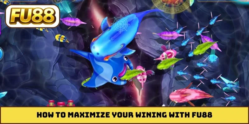 How to maximize your wining with FU88